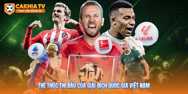 Thể thức thi đấu của giải địch quốc gia Việt Nam