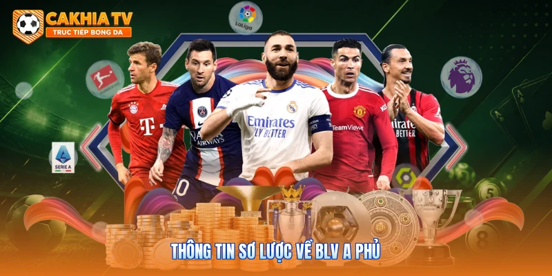 Thông tin sơ lược về BLV A Phủ 