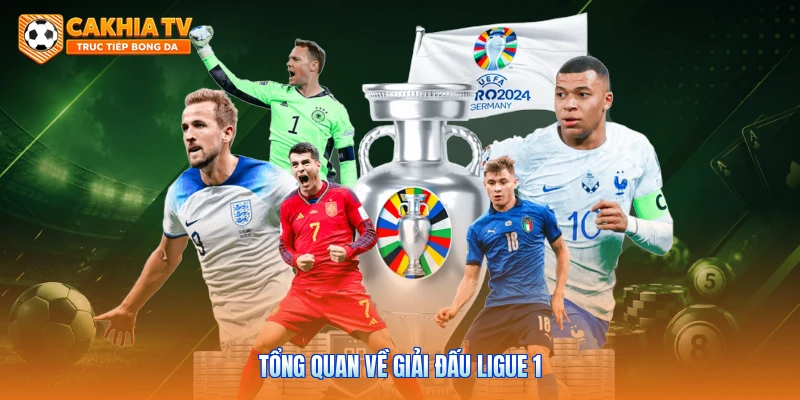 Tổng quan về giải đấu Ligue 1 